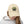 Warhammer Distressed Cap