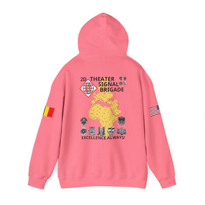 39th SSB - Flags on Sleeves - Unisex Heavy Blend™ Hooded Sweatshirt