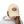 509th Distressed Cap