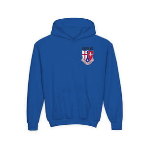 Hospital Center - Youth Heavy Blend Hooded Sweatshirt